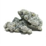 Enigma Mushrooms